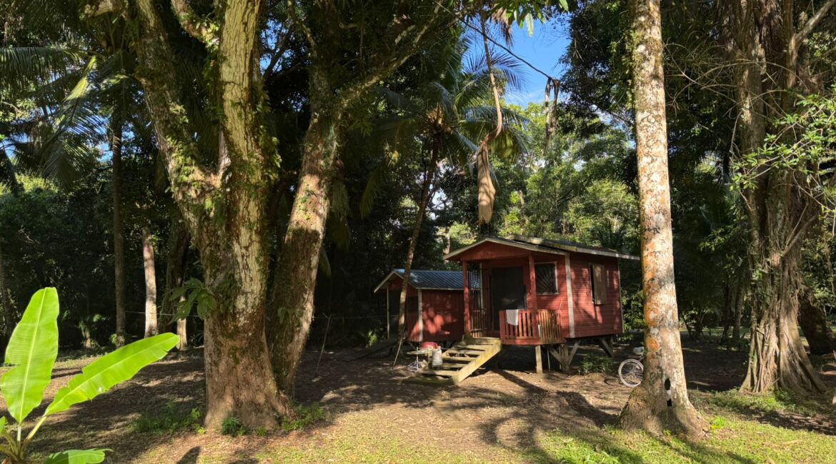 XUNDER CONTRACT 1.4 acres of Sittee Riverfront minutes to Hopkins