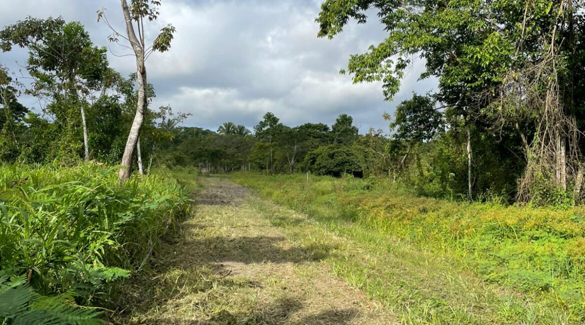 Hopkins Road 2 Acre Mini Farm Lots